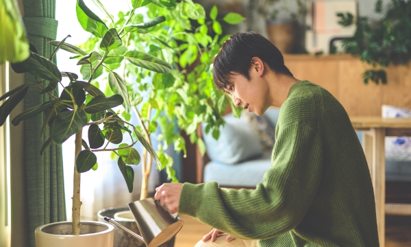 観葉植物に水をあげる男性